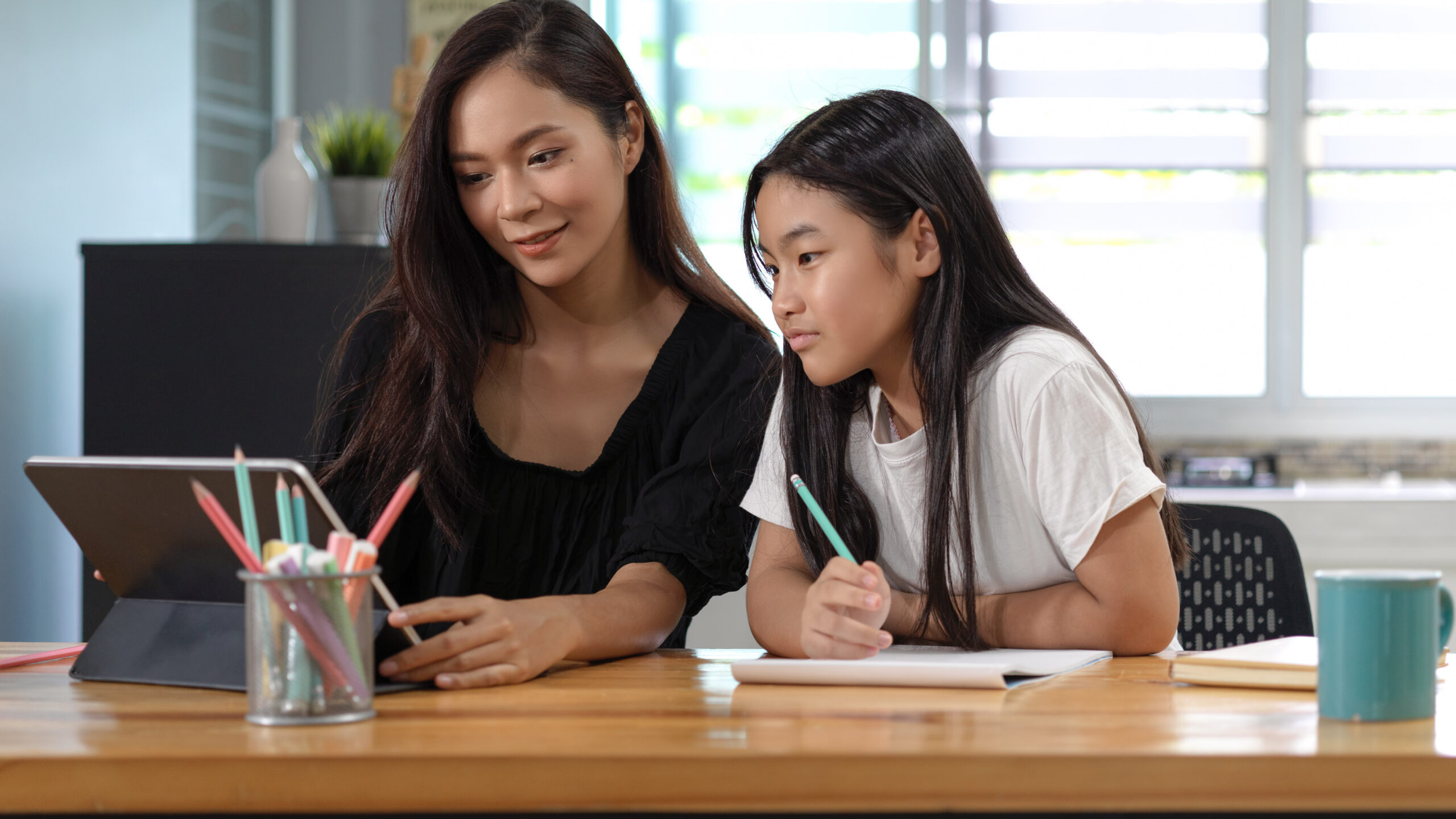 Virginia Homeschool Curriculum for Special Needs